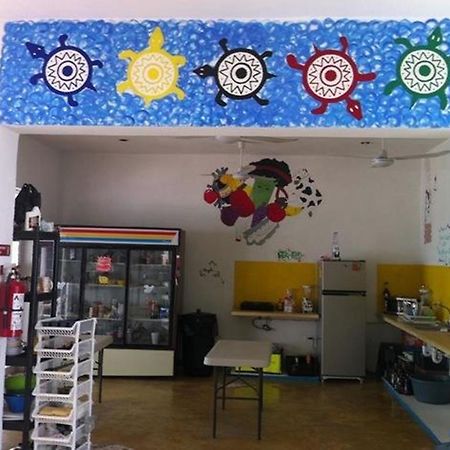 Hostal Vive La Vida Playa del Carmen Ngoại thất bức ảnh