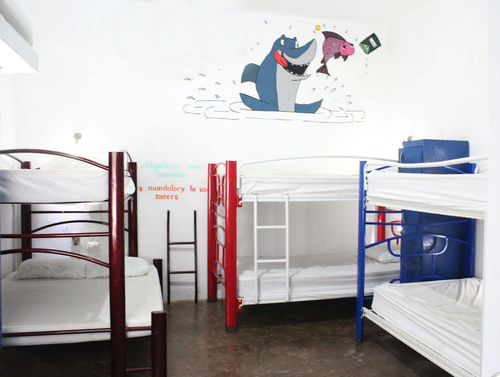 Hostal Vive La Vida Playa del Carmen Ngoại thất bức ảnh
