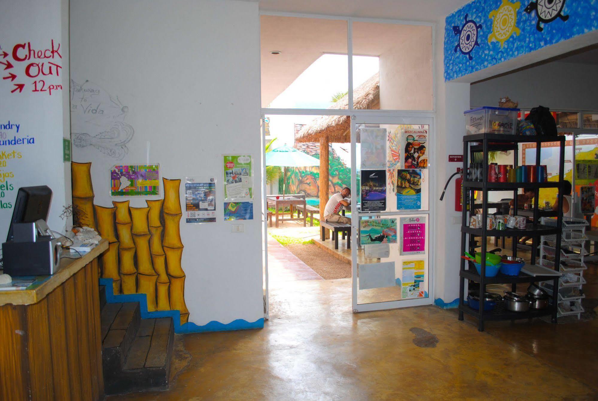 Hostal Vive La Vida Playa del Carmen Ngoại thất bức ảnh