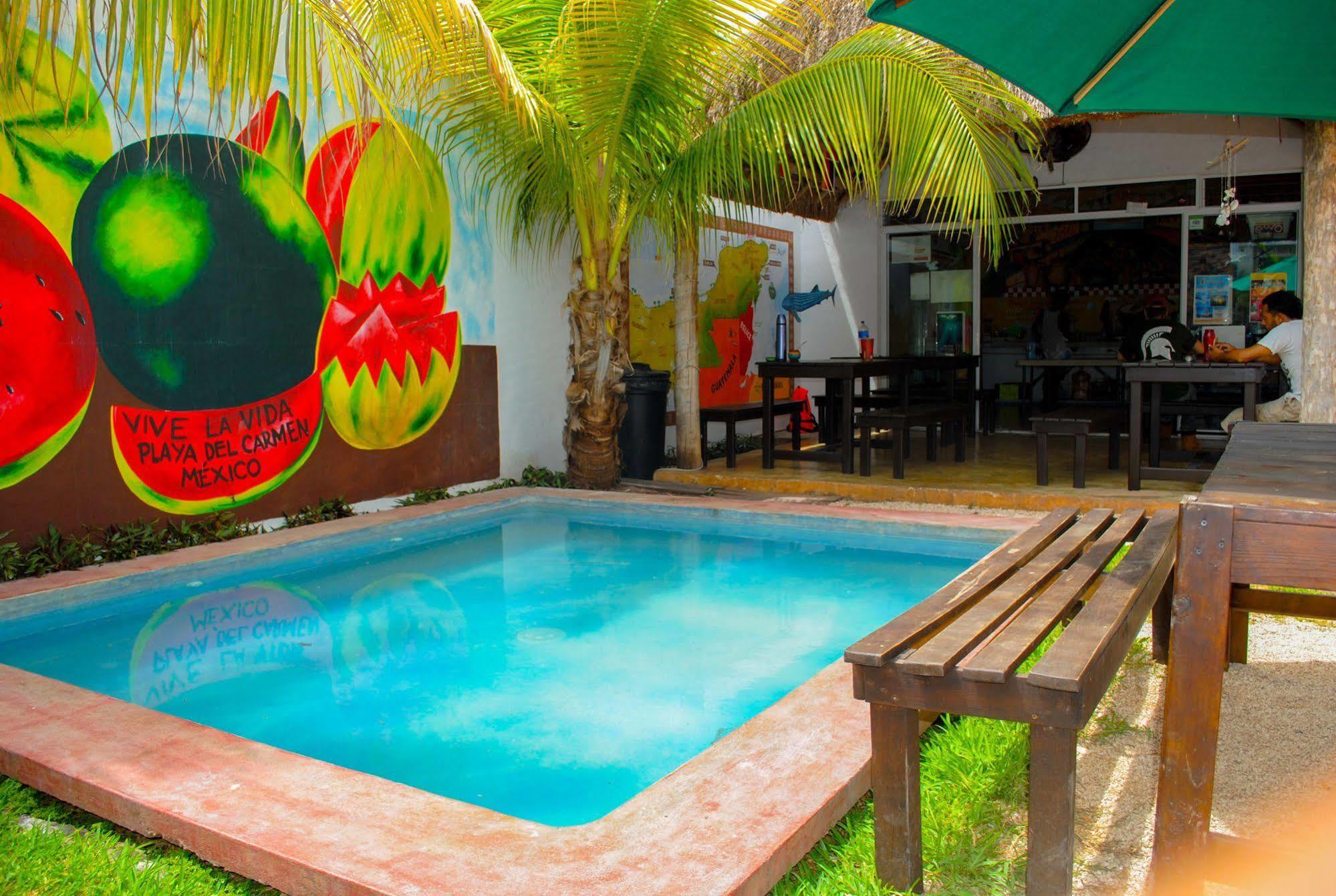 Hostal Vive La Vida Playa del Carmen Ngoại thất bức ảnh