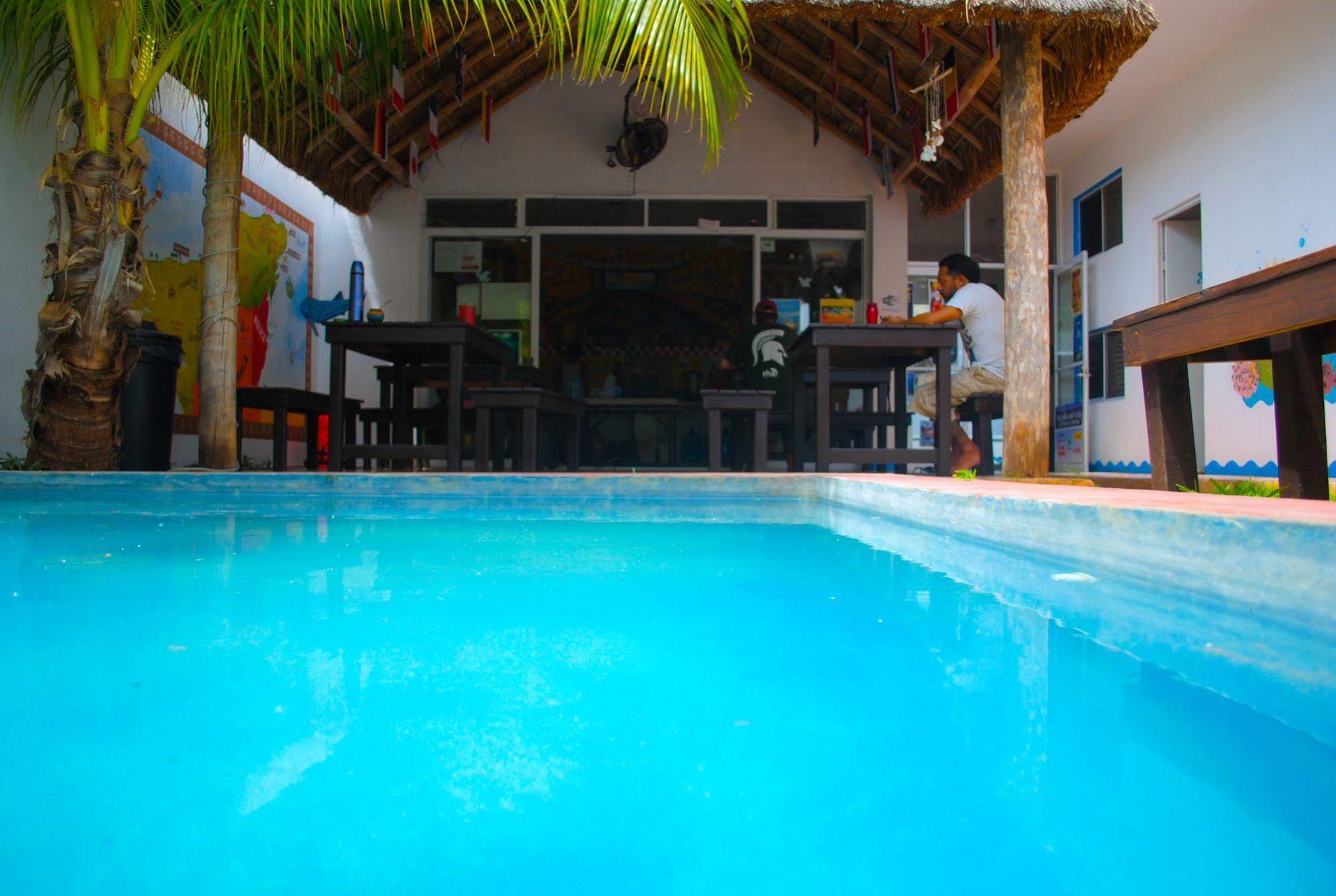 Hostal Vive La Vida Playa del Carmen Ngoại thất bức ảnh