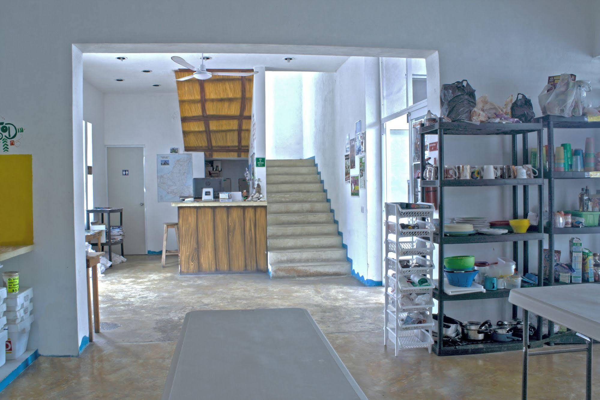 Hostal Vive La Vida Playa del Carmen Ngoại thất bức ảnh